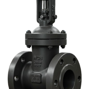 Válvula de Compuerta Acero al Carbono 6" 600 LB