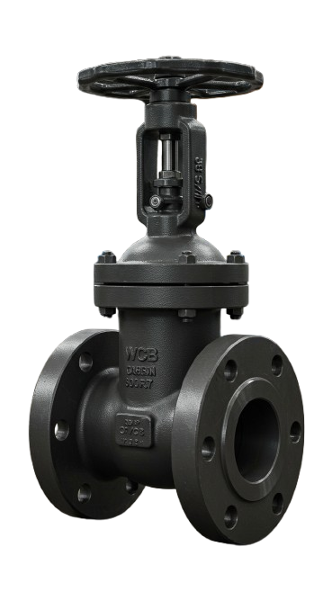 Válvula de Compuerta Acero al Carbono 6" 600 LB